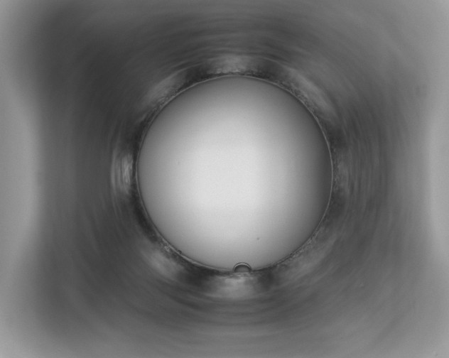 X0000112930118200908241308