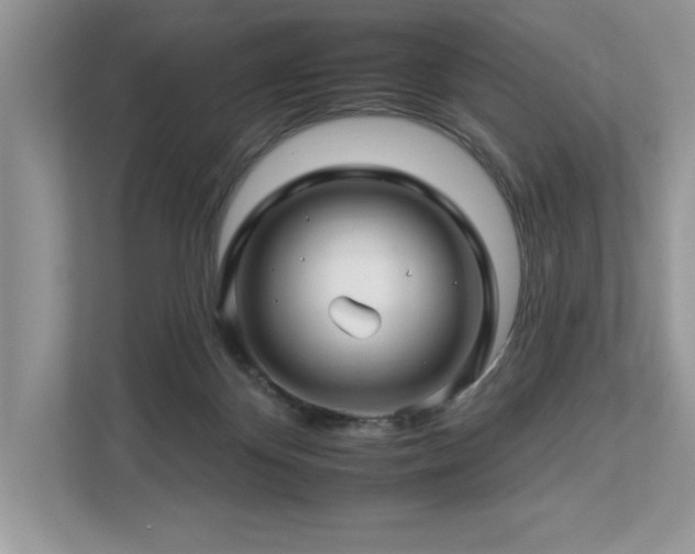 X0000112930124200908241308