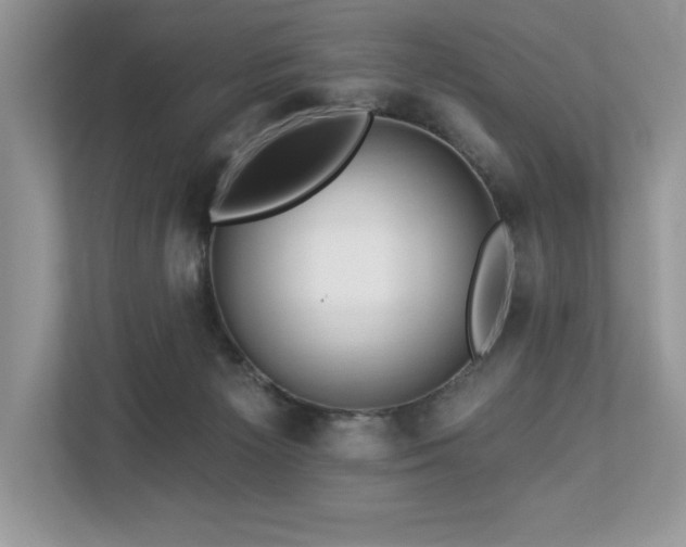 X0000112930125200908241308