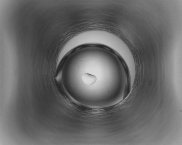 X0000112930128200908241308