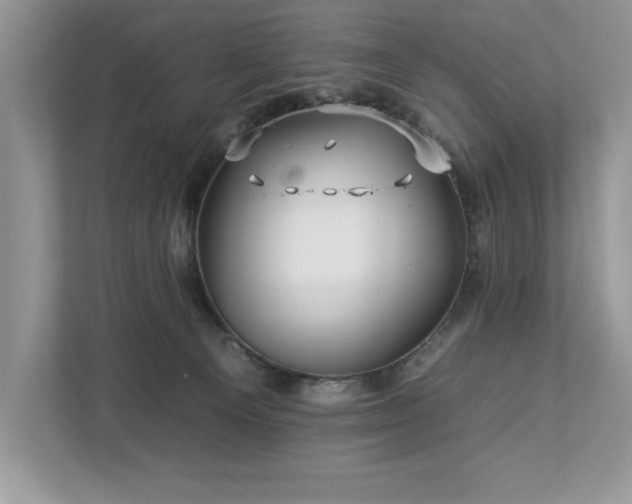 X0000112930129200908241308