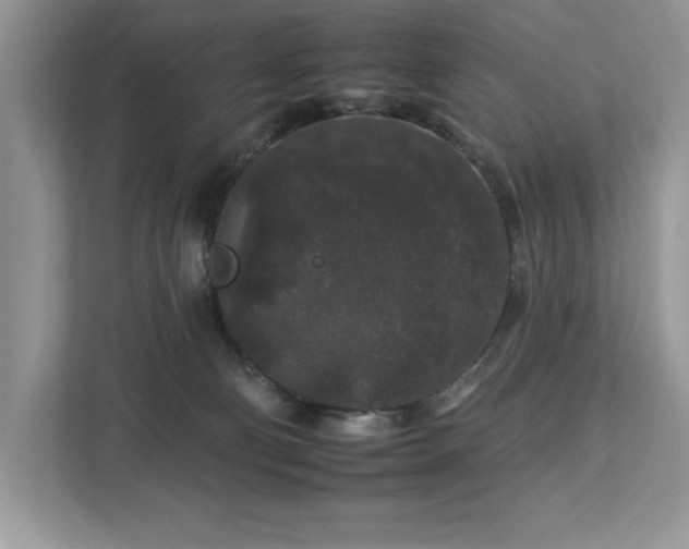 X0000112930130200908241308