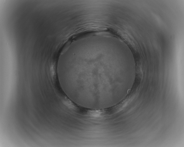 X0000112930131200908241308