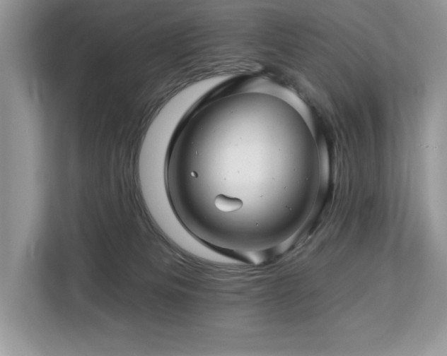 X0000112930133200908241308