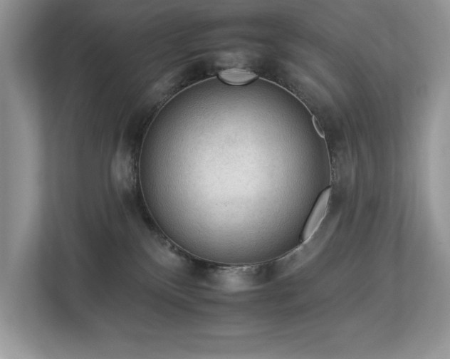 X0000112930136200908241308