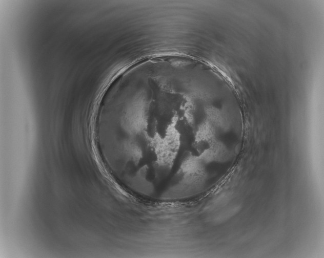 X0000112930145200908241307