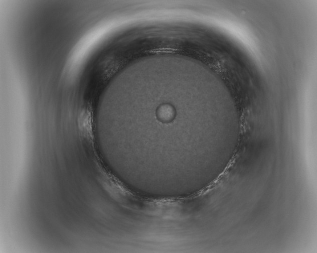 X0000112930146200908241307