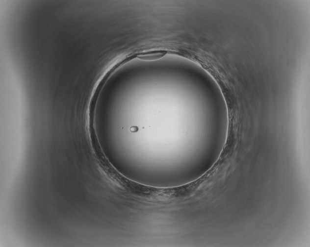 X0000112930148200908241307