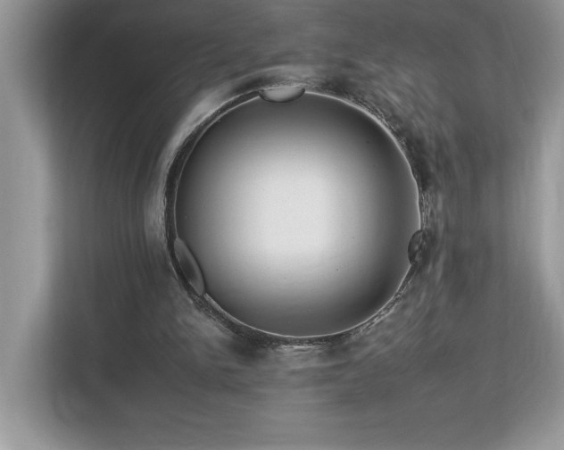 X0000112930150200908241307