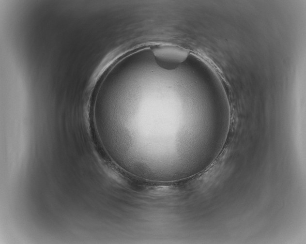 X0000112930151200908241307