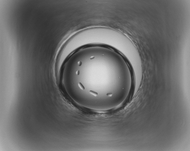 X0000112930152200908241307