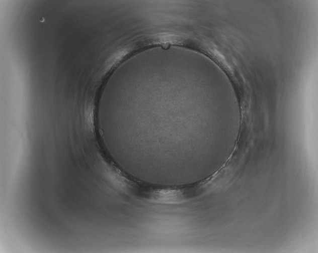 X0000112930154200908241307