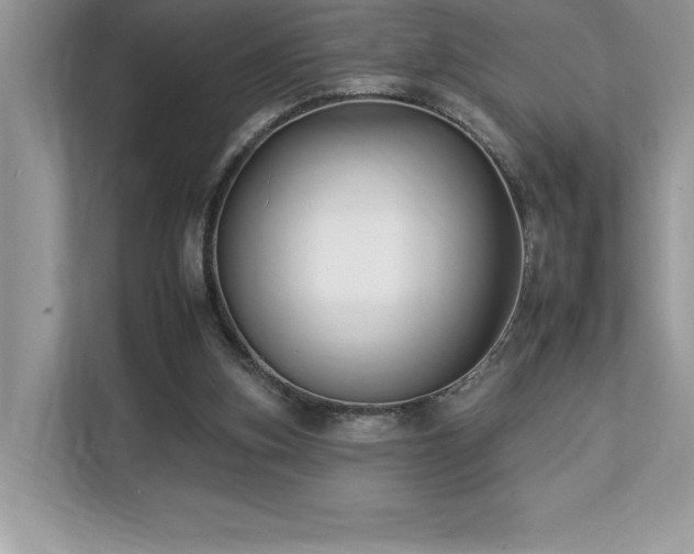 X0000112930155200908241307