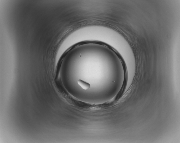 X0000112930158200908241307