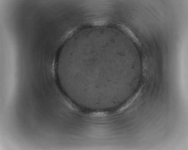 X0000112930161200908241307