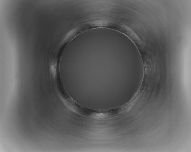 X0000112930163200908241307