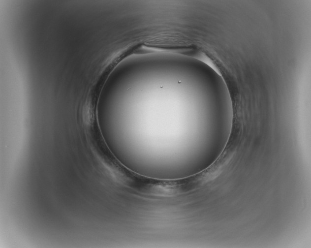 X0000112930164200908241307