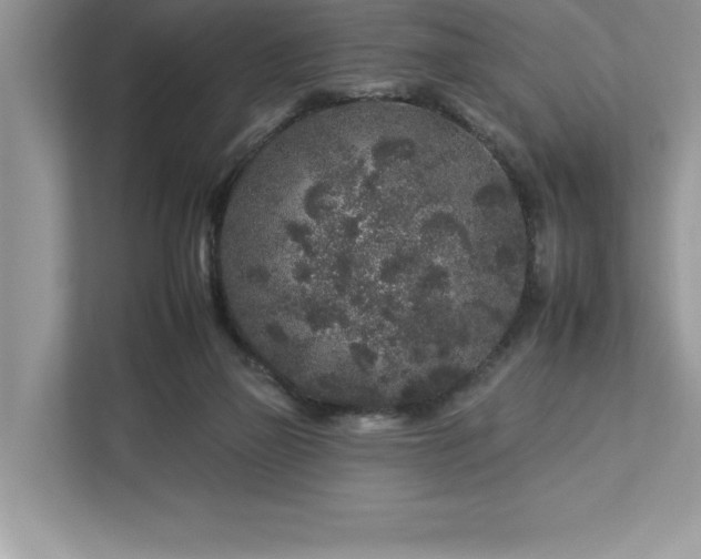 X0000112930165200908241307