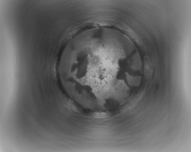 X0000112930169200908241307