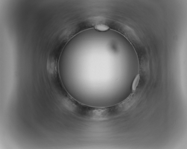 X0000112930172200908241307