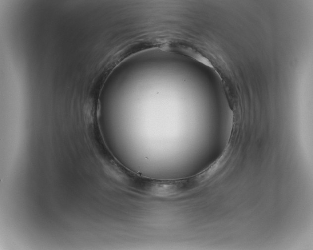 X0000112930174200908241307