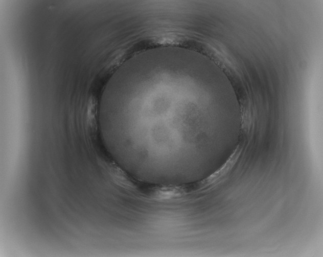 X0000112930175200908241307