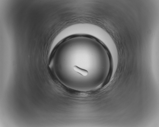 X0000112930176200908241307