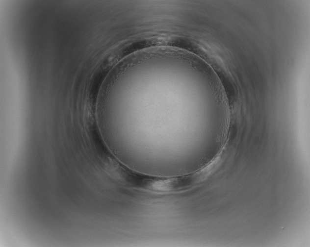 X0000112930178200908241307