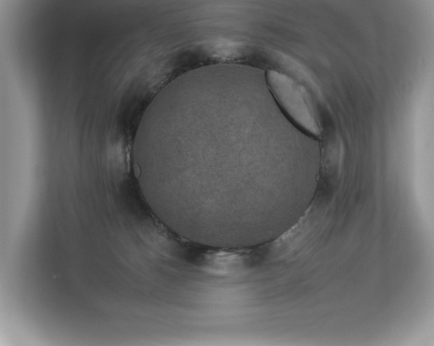 X0000112930180200908241307