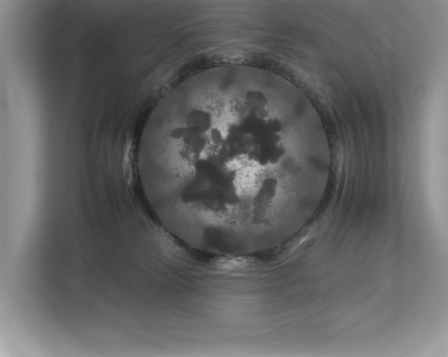 X0000112930181200908241307