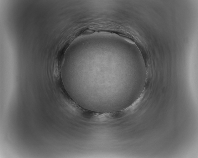 X0000112930186200908241308