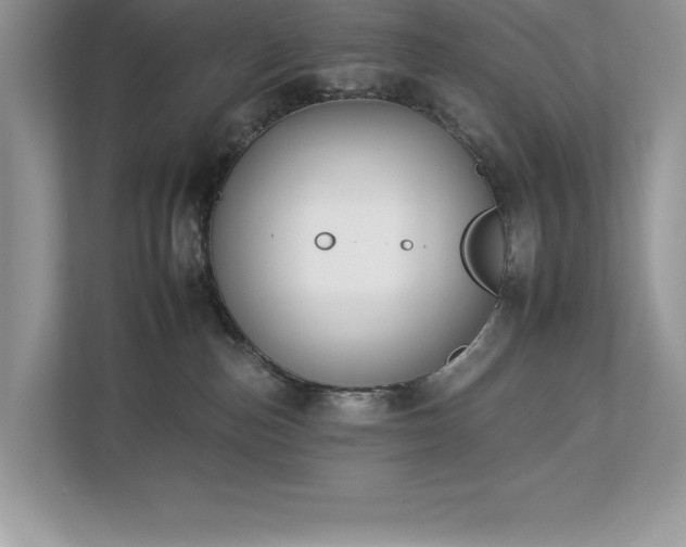 X0000112930187200908241308