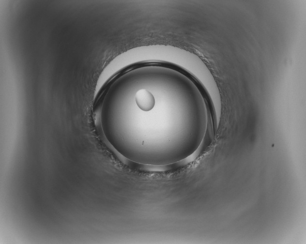 X0000112930192200908241308