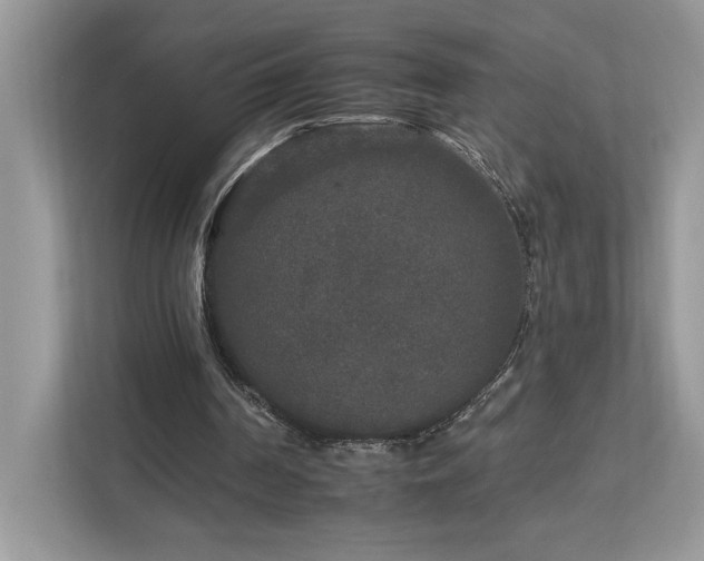 X0000112930194200908241307