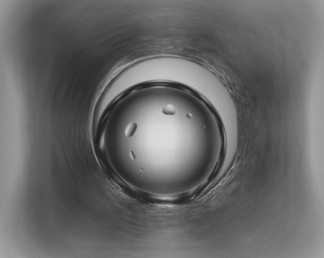 X0000112930195200908241307