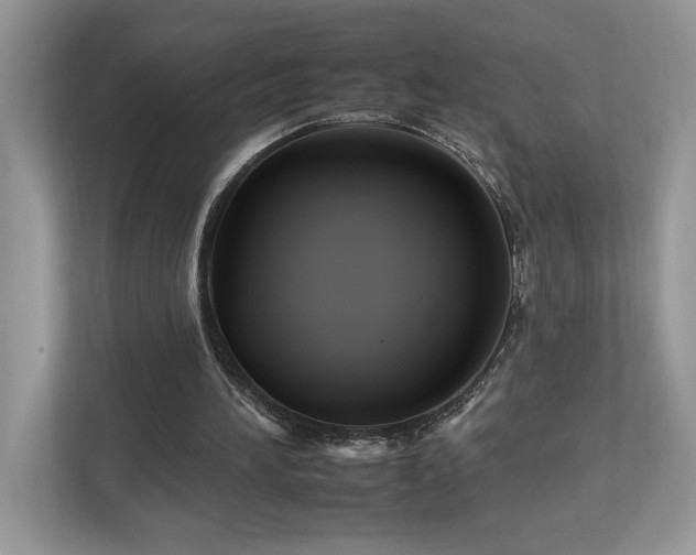 X0000112930196200908241307