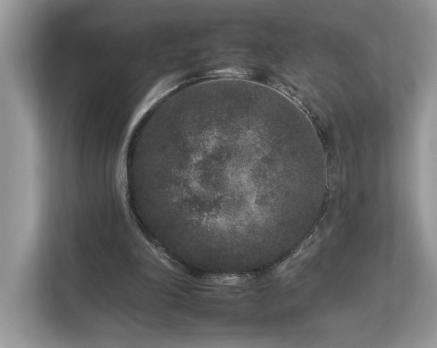 X0000112930198200908241307