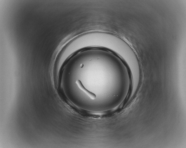 X0000112930199200908241307