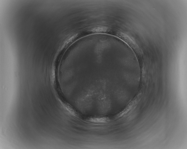 X0000112930202200908241307