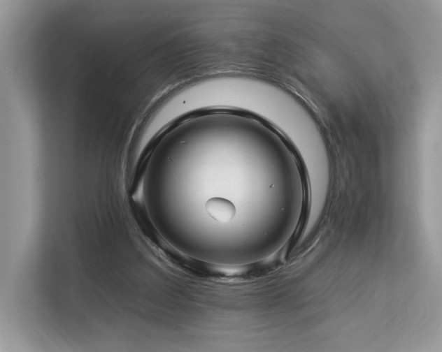 X0000112930203200908241307