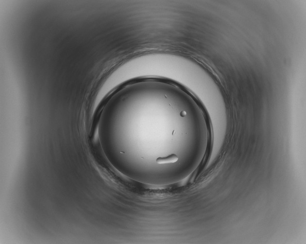 X0000112930205200908241307