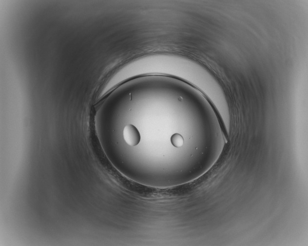 X0000112930207200908241307