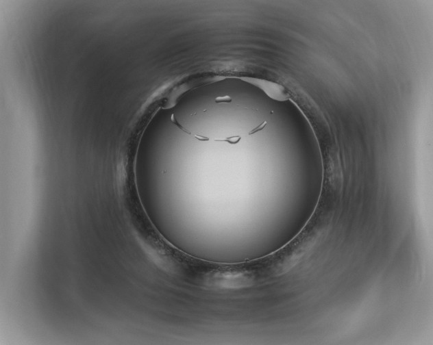 X0000112930208200908241307