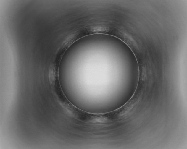 X0000112930210200908241307