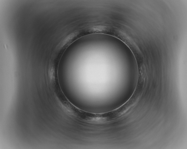 X0000112930212200908241307