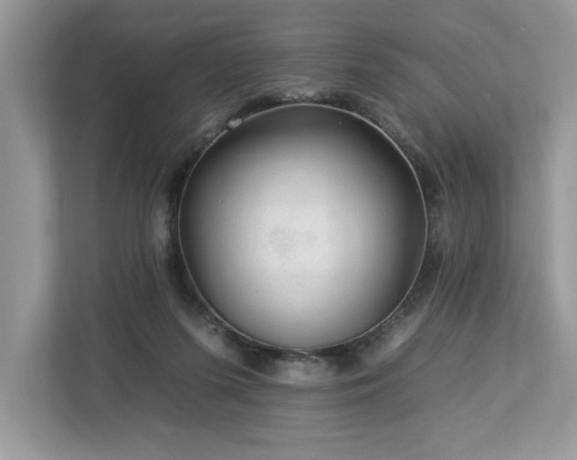 X0000112930215200908241307