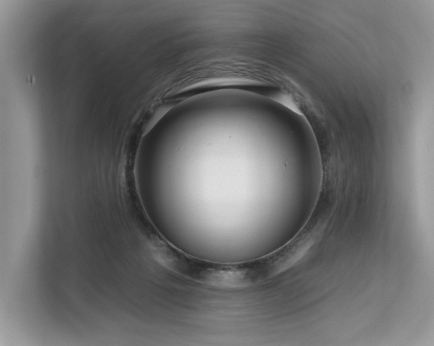 X0000112930217200908241307