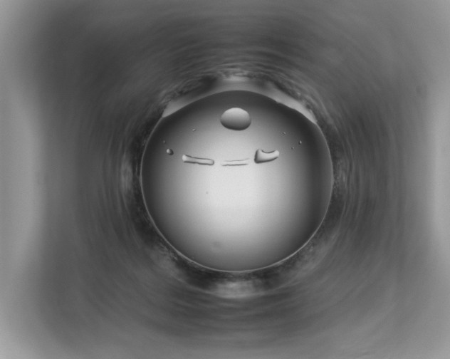 X0000112930220200908241307