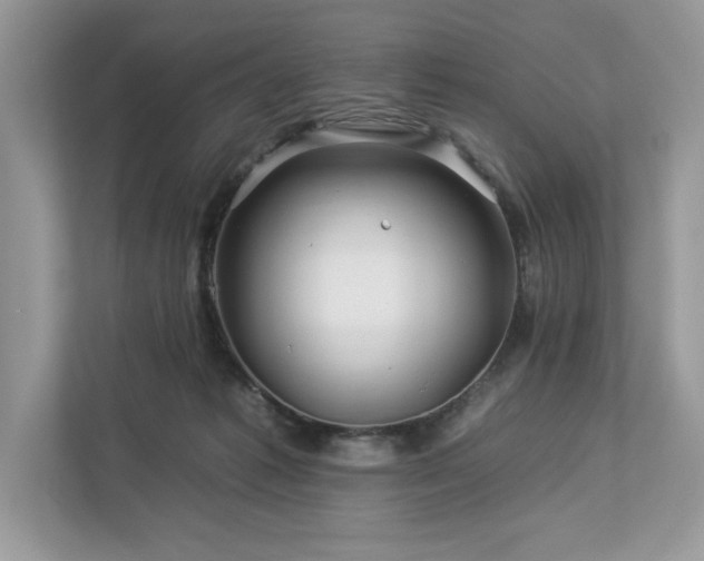 X0000112930221200908241307