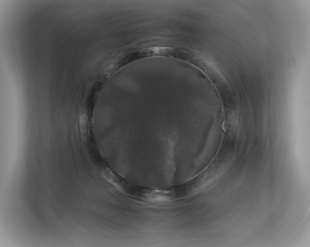 X0000112930222200908241307